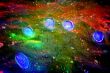 Hand Print - very highly colorized abstract image