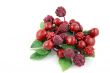 Summer Berries 1