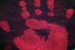 Hand Print in red ink