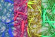 Neurons 1