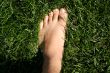 feet