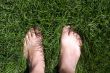 feet