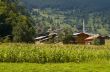 Turkish Village