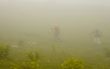 Hiking in the fog
