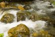 Stream