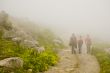 Hiking In The Fog
