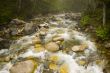 Stream
