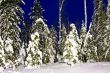 nightly landscape