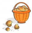 Mushrooms in a basket