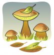 Three mushrooms
