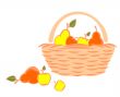 Fruit in a basket