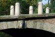 Parco di Monza - Bridge