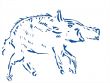 boar stamp engraving