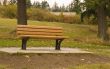 Bench on a Hill