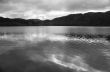 Dark Water