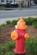 color full fire hydrant