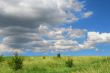 wild spring meadow