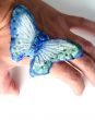 Butterfly in hand isolated