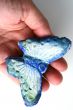 Butterfly in hand isolated