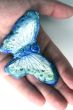Butterfly in hand isolated