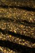 Autumn detail, golden poplar leaves