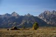 Western buildings with Tetons