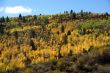 Fall colors in Idaho hills