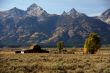 Western buildings with Tetons