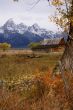 Autumn, Grand Tetons