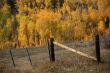 Fall colors in Idaho hills