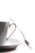 Coffee Cup