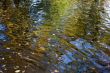 Water autumn background