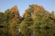 Swans in autumn park