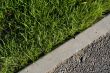 Grass with pavement