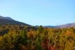 mountain foliage