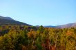 mountain foliage