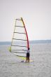 Windsurfer