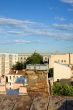 Petersburg`s roofs