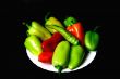 culinary products