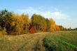 Autumn landscape 2