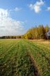 Autumn landscape