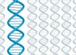 dna strands