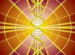 dna tunnel