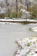 Pond in the park.