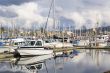 White Yachts at Marina