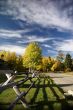 Autumn road and rail fence