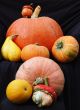 Autumn pumpkin composition