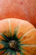 Autumn pumpkin composition