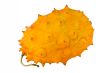 Kiwano isolated