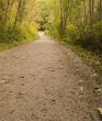 Road Through the Woods